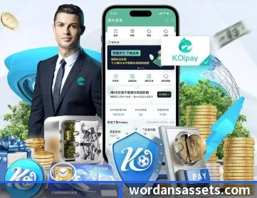 星空官网 APP 深度功能